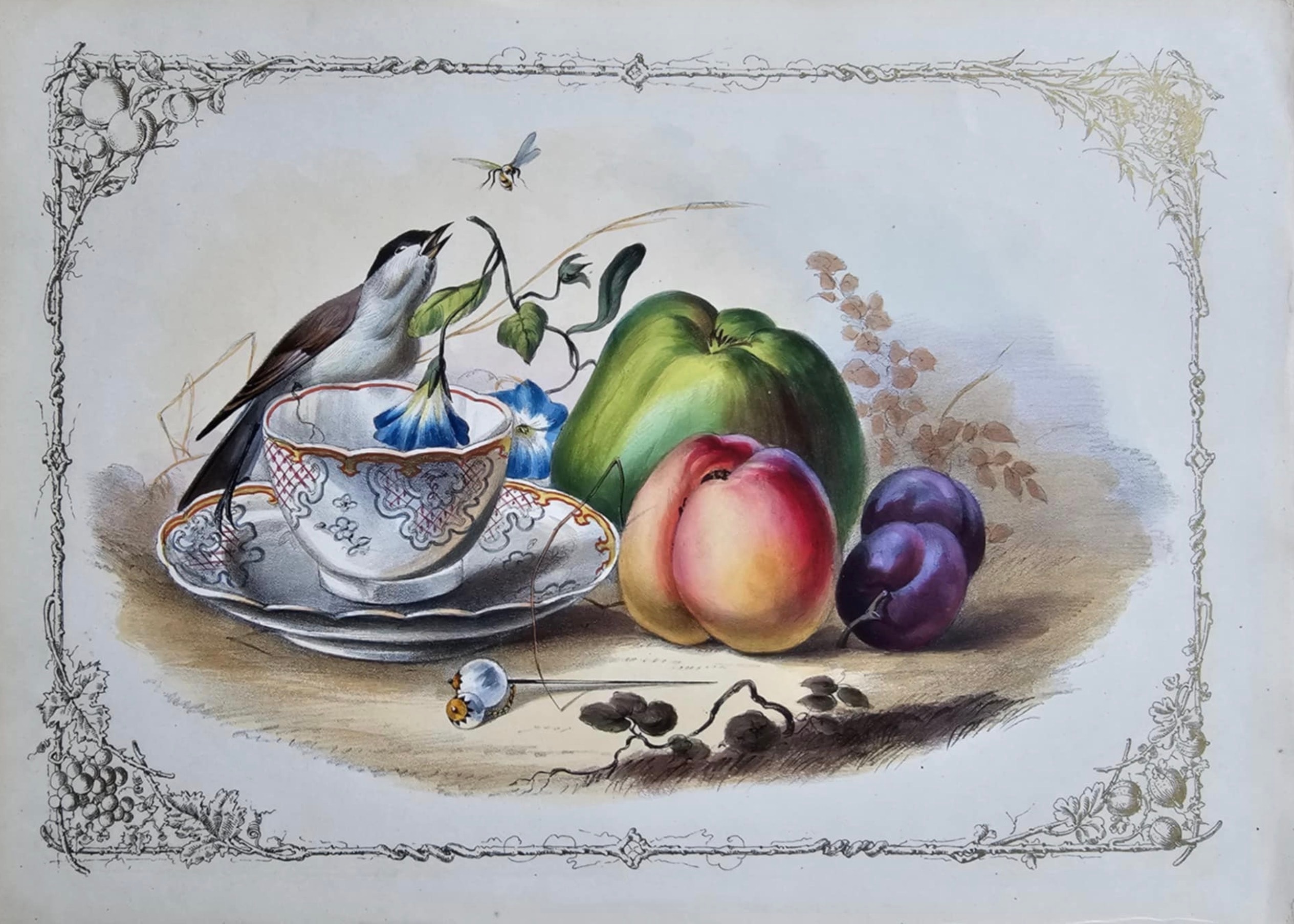 Marcus Elieser Bloch — 1782