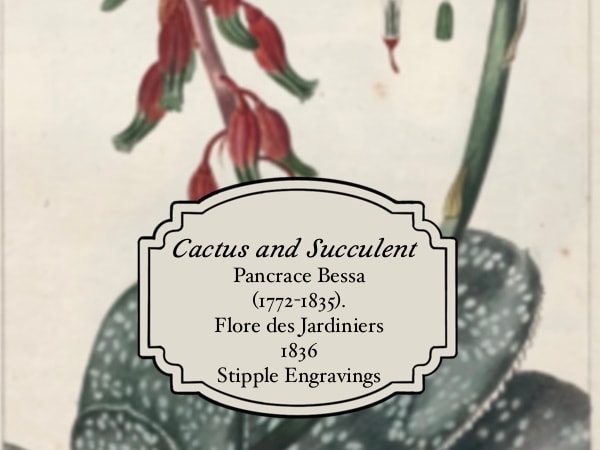 Pancrace Bessa