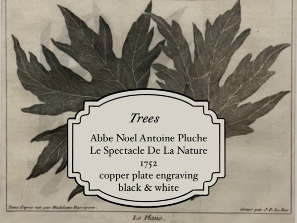 Abbe Noel Antoine Pluche