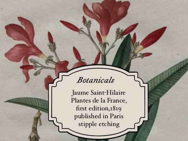 Jaume Saint-Hilaire