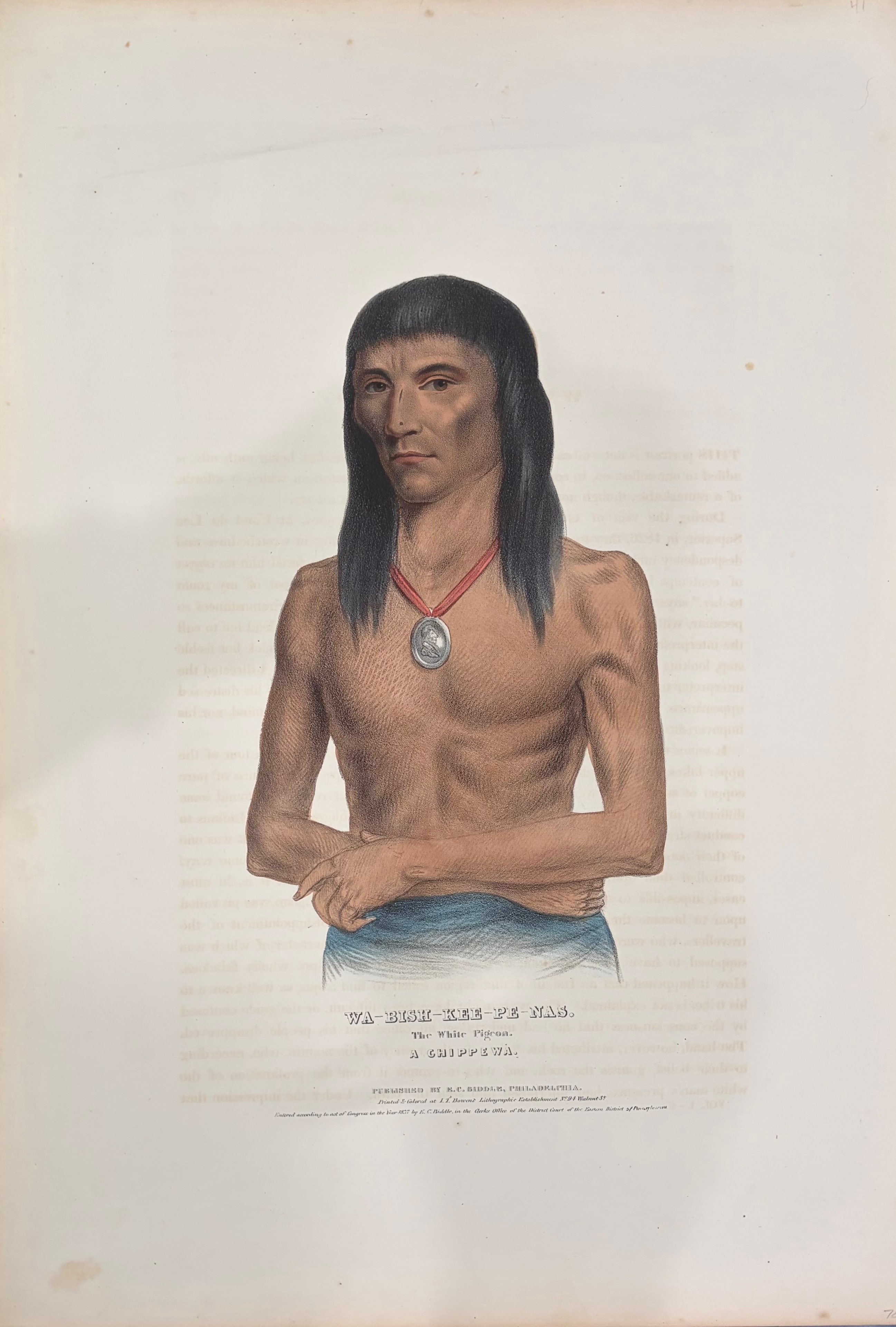 Wa-Bish-Kee-Pe-Nas (The White Pigeon) — A Chippewa